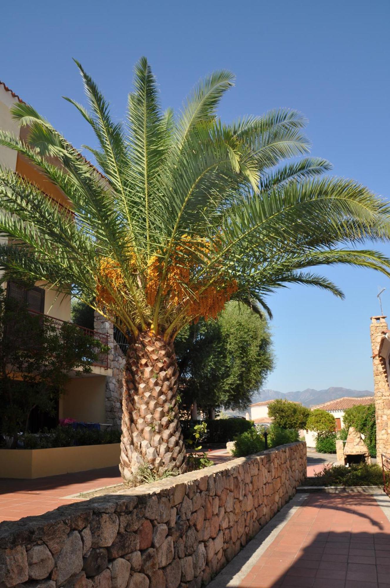 الشقق الفندقية بودونيفي  Borgo Le Logge الغرفة الصورة