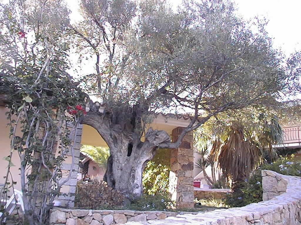 الشقق الفندقية بودونيفي  Borgo Le Logge المظهر الخارجي الصورة